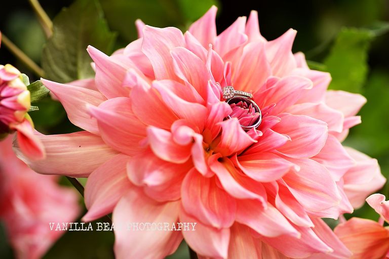 Vanilla Bean Photography Tasha and Tyler Enumclaw Wedding photographer (10)