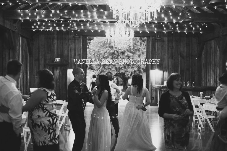 Vanilla Bean Photography Tasha and Tyler Enumclaw Wedding photographer (120)