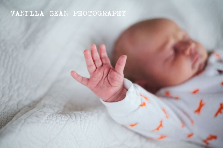 Vanilla Bean Emery Baby Pictures (2)