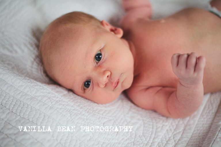 Vanilla Bean Emery Baby Pictures (5)