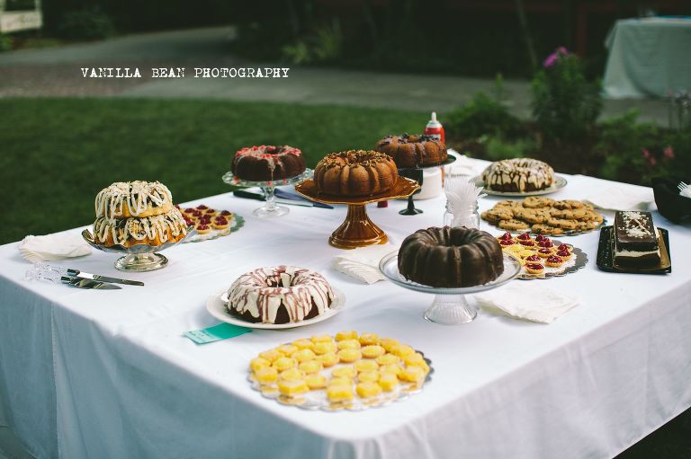 Vanilla Bean Photography Davis wedding (157)