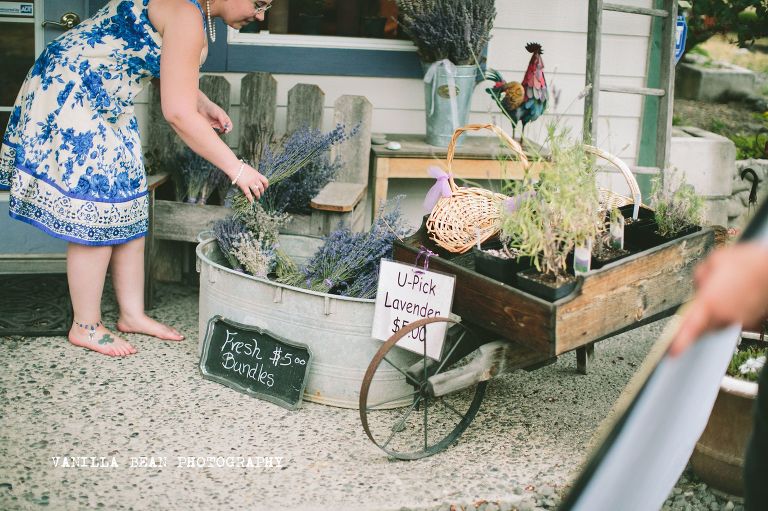 SandCengagements (30)