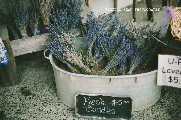 SandCengagements (35)