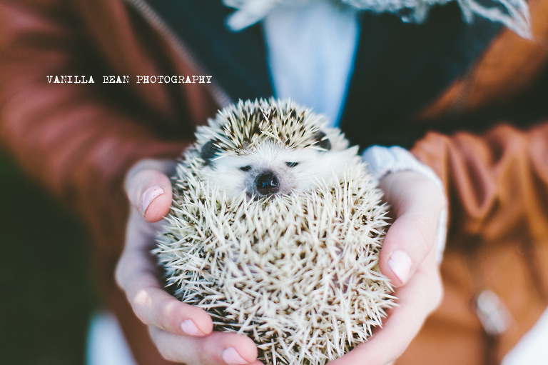 VanillaBeanPhotography (2)