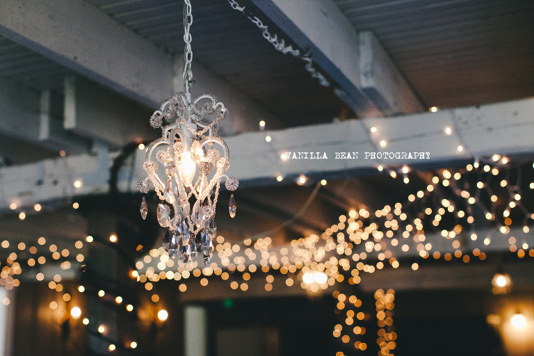 Vanilla Bean Photography Richardson Wedding 2016 (2)