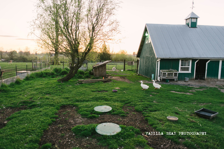 Vanilla Bean Photography Richardson Wedding 2016 (46)