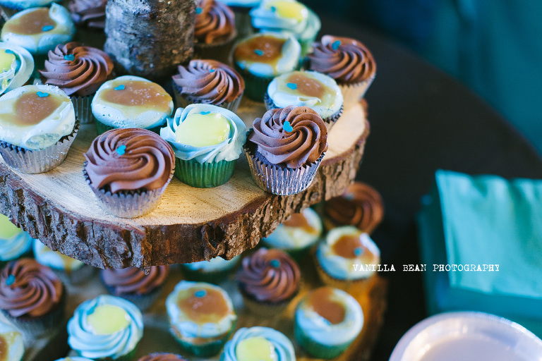 Vanilla Bean Photography Richardson Wedding 2016 (49)