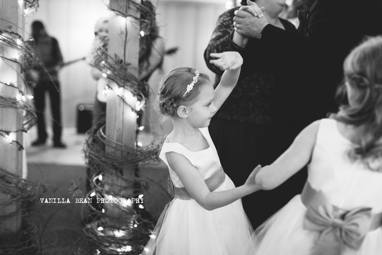 Vanilla Bean Photography Richardson Wedding 2016 (64)