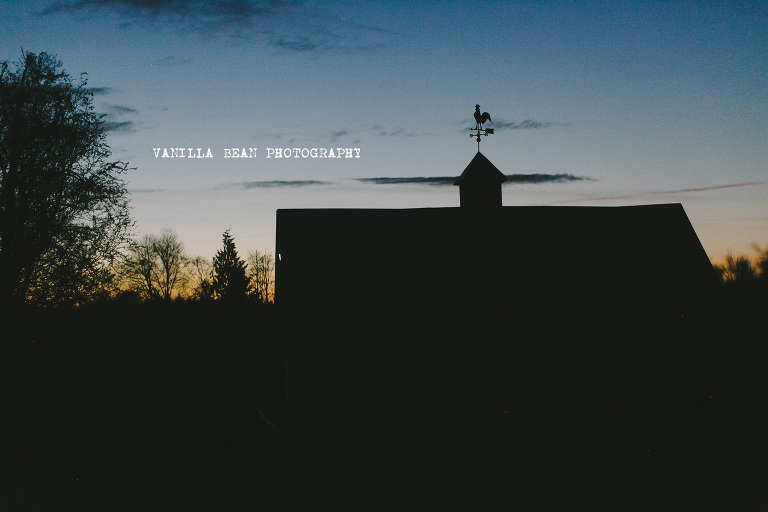 Vanilla Bean Photography Richardson Wedding 2016 (67)