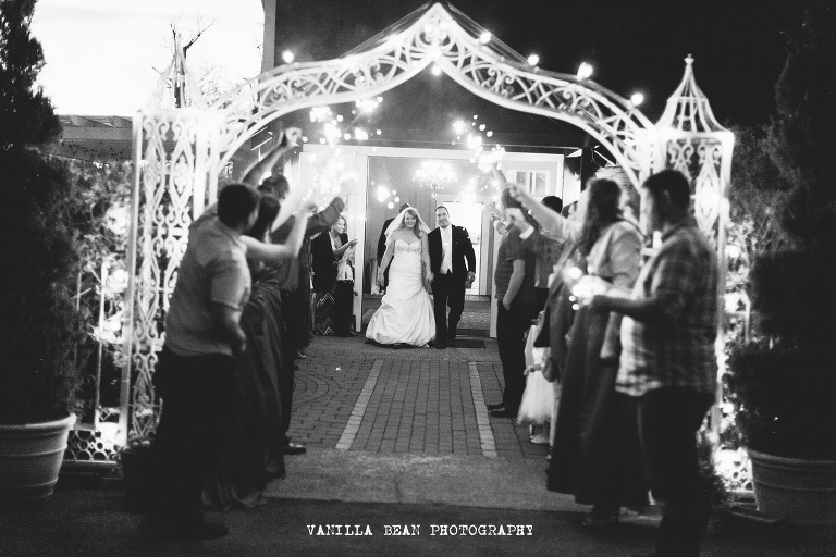 Vanilla Bean Photography Richardson Wedding 2016 (68)