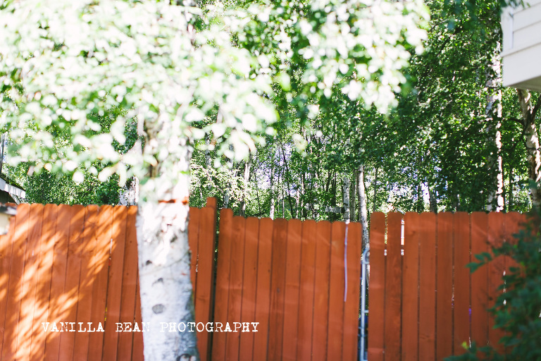 Vanilla Bean Keilah Rojas Anchorage Mini Sessions (1)